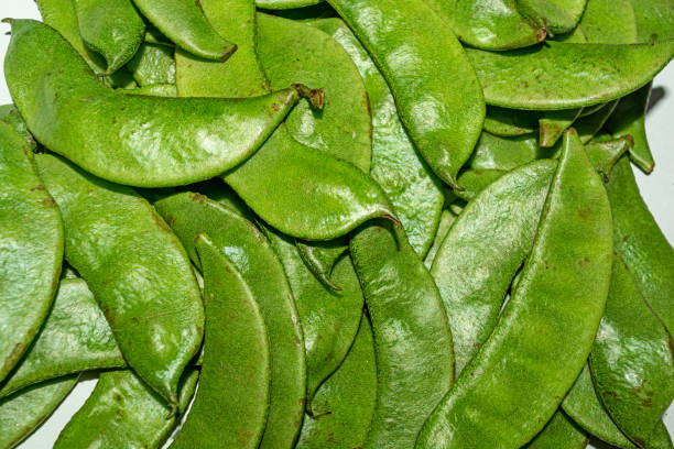 Broad Beans - Fresh Produce