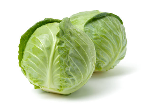 Cabbage - Fresh Produce